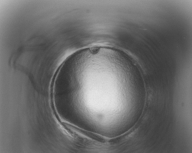 X0000077371423200610271908