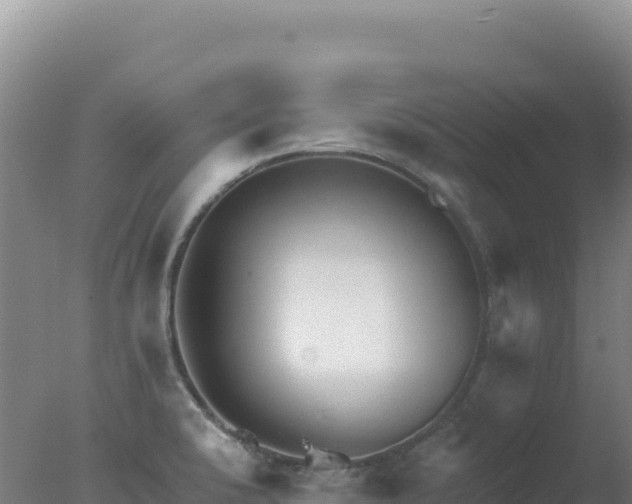 X0000077371424200610271908