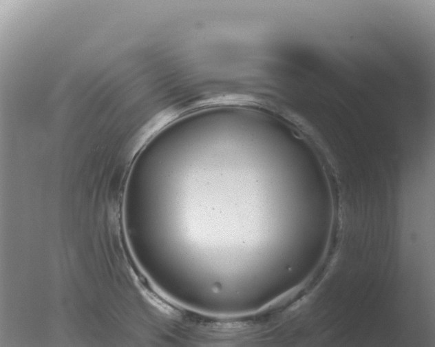 X0000077371425200610271908