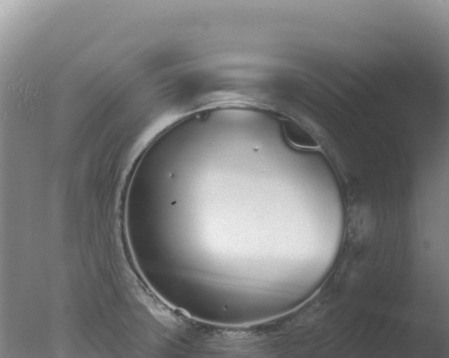 X0000077371427200610271908