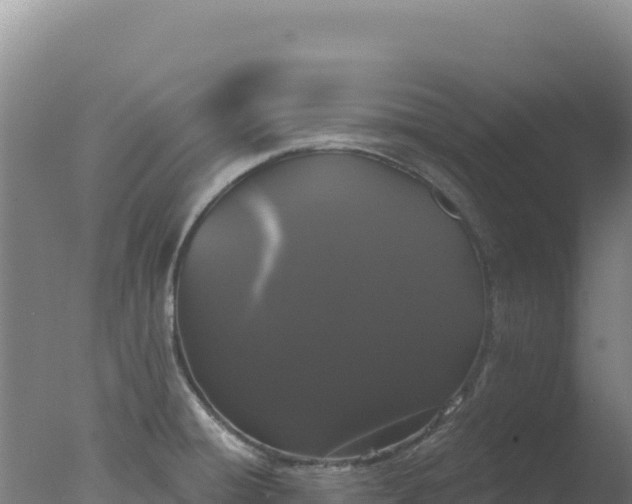 X0000077371428200610271908