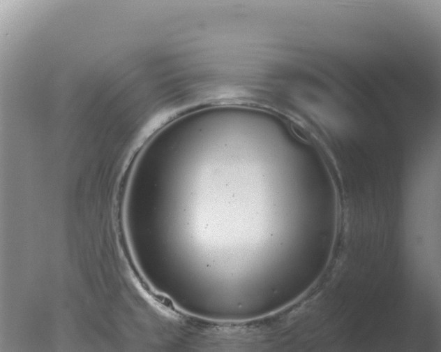 X0000077371429200610271908