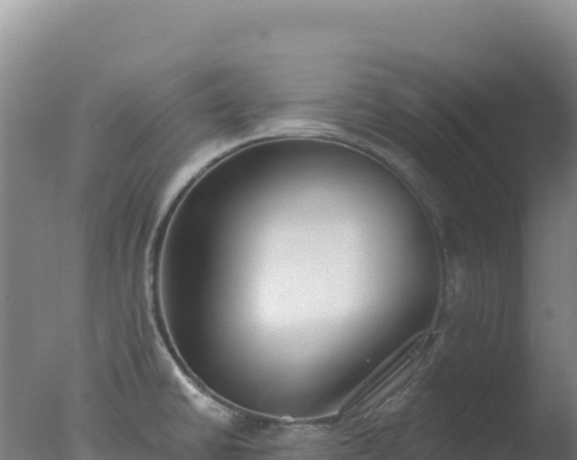 X0000077371430200610271908