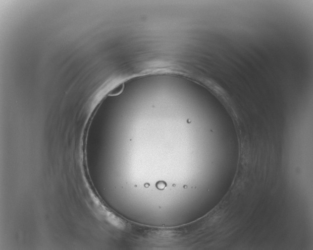 X0000077371431200610271908