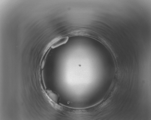 X0000077371434200610271908