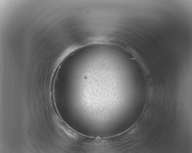 X0000077371435200610271908