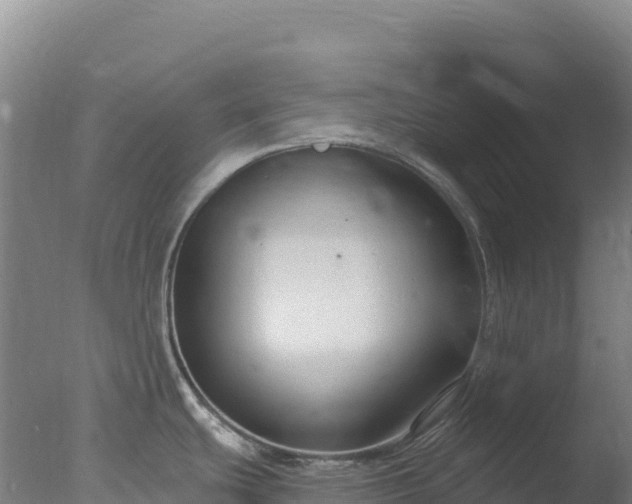 X0000077371439200610271908