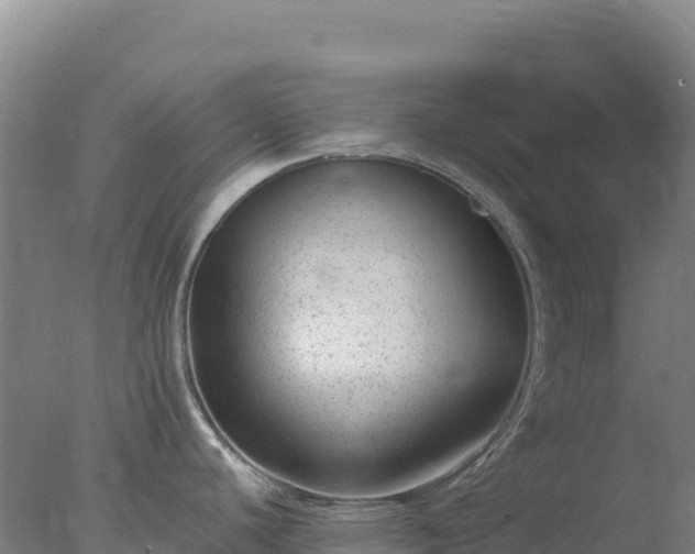 X0000077371440200610271908