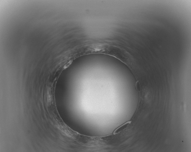 X0000077371442200610271908