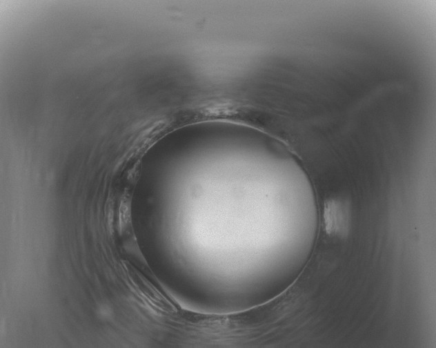 X0000077371444200610271908