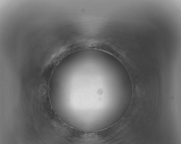 X0000077371447200610271908