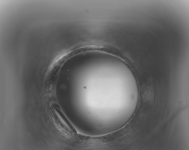 X0000077371448200610271908