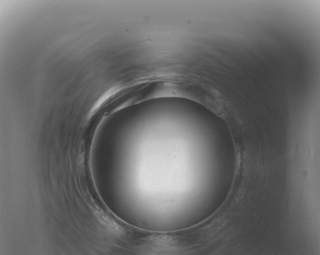 X0000077371450200610271908