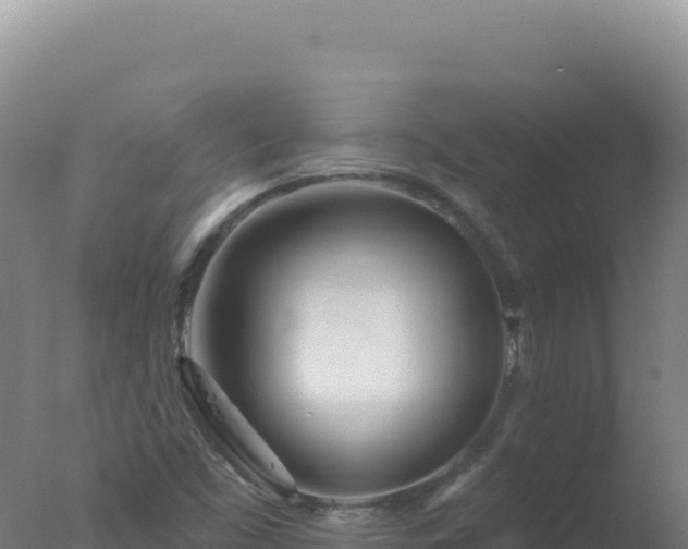 X0000077371453200610271907