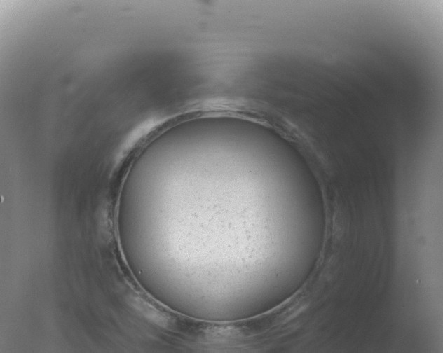 X0000077371454200610271907