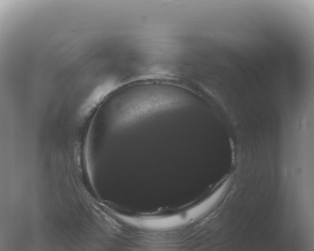 X0000077371455200610271907