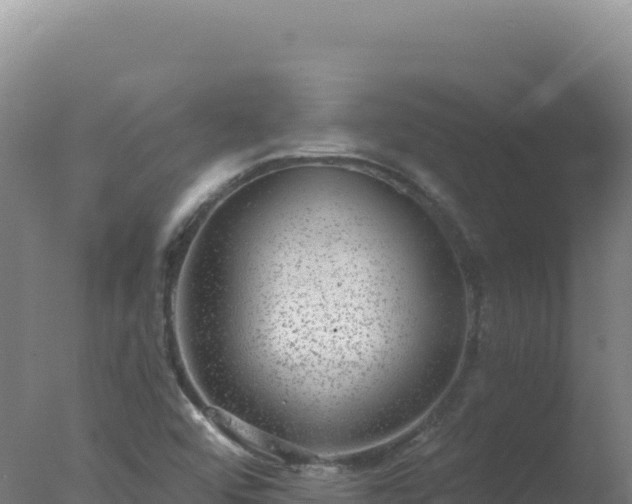 X0000077371456200610271907