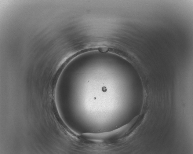 X0000077371457200610271907