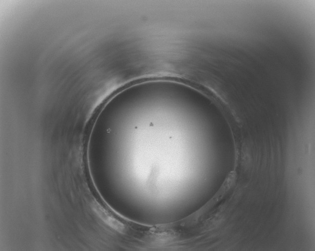 X0000077371460200610271907