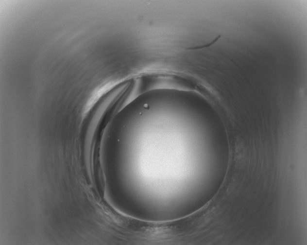 X0000077371461200610271907