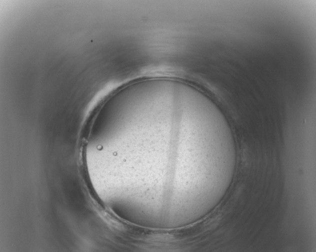 X0000077371462200610271907