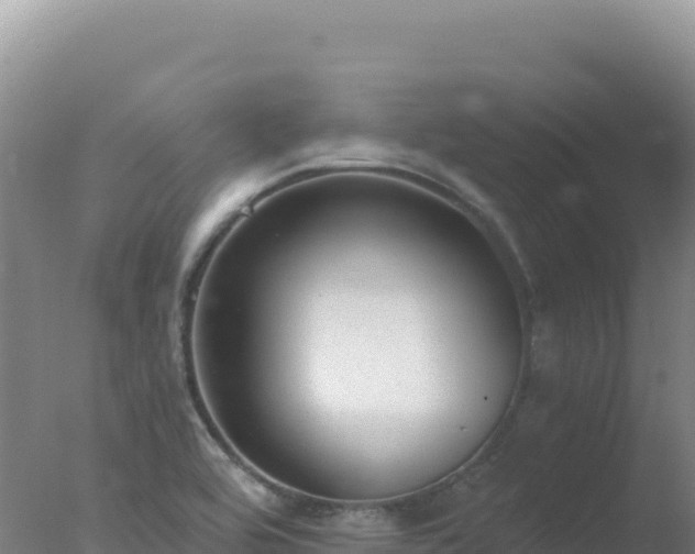 X0000077371464200610271907