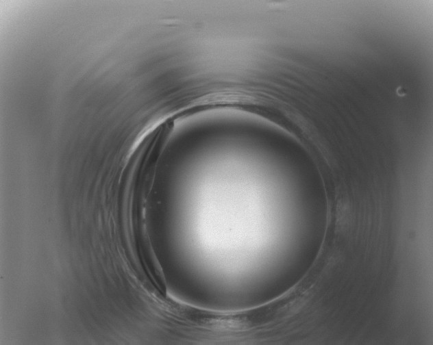 X0000077371465200610271907