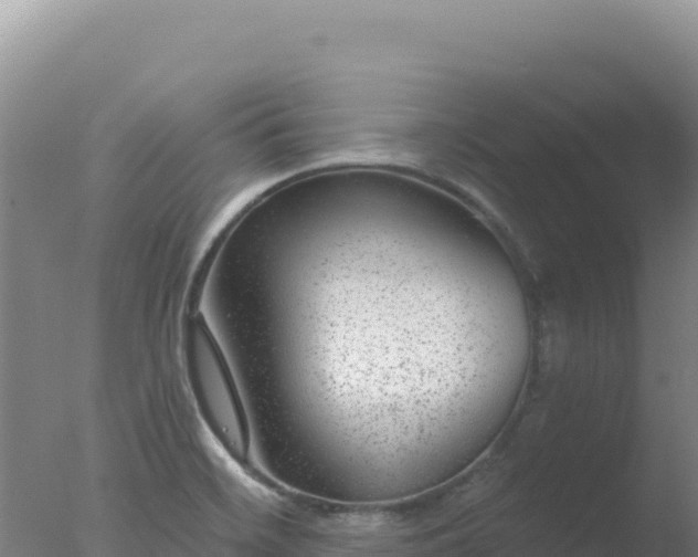 X0000077371468200610271907