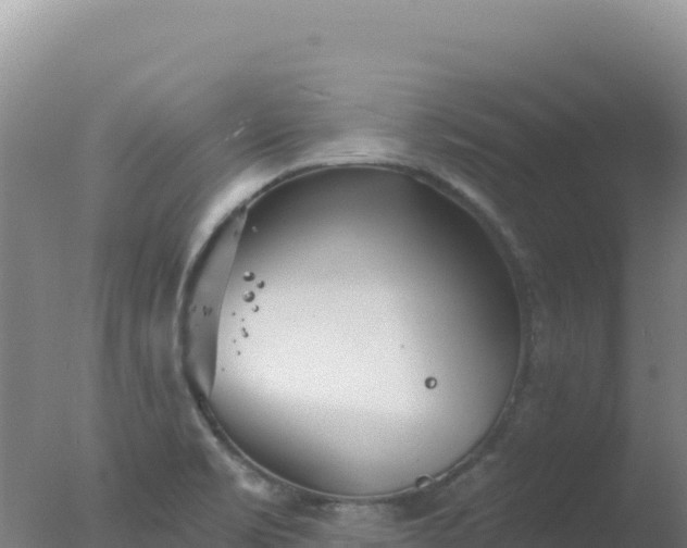 X0000077371469200610271907