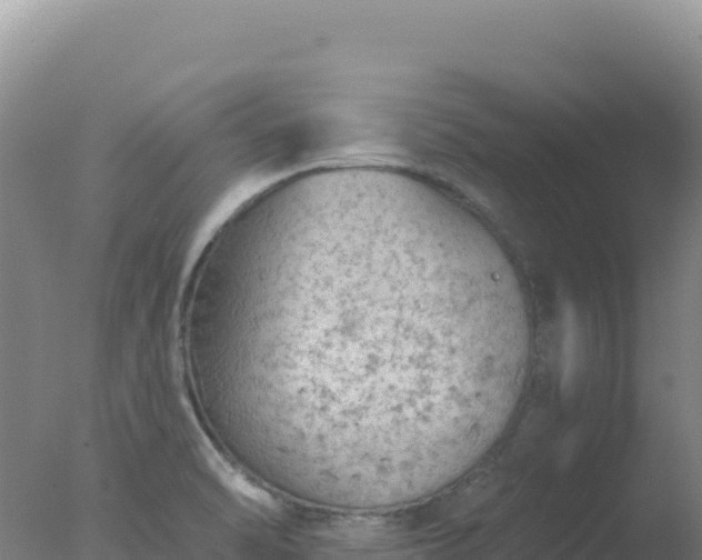 X0000077371470200610271907