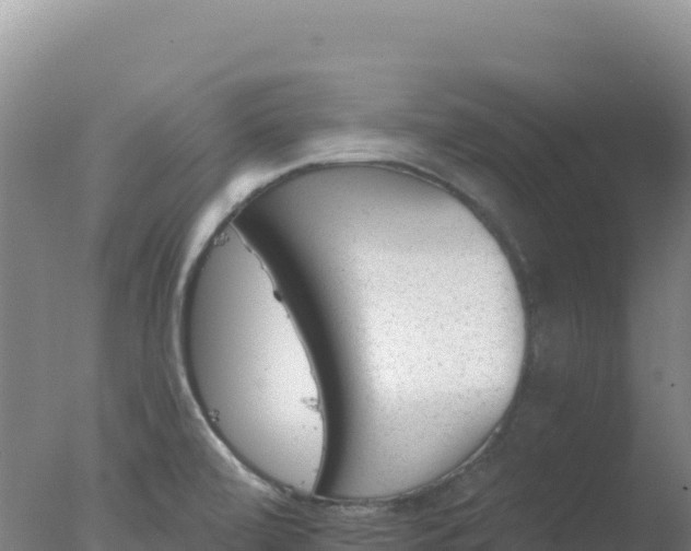 X0000077371472200610271907