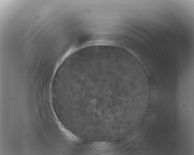 X0000077371474200610271907