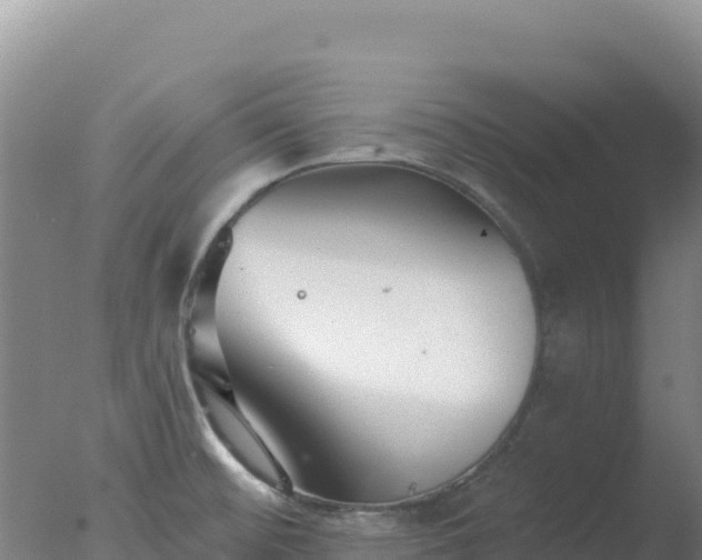 X0000077371476200610271907