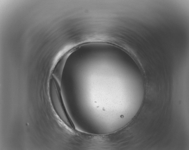 X0000077371480200610271907