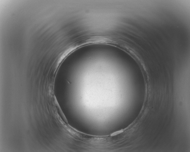 X0000077371481200610271907