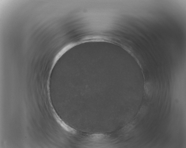 X0000077371482200610271907