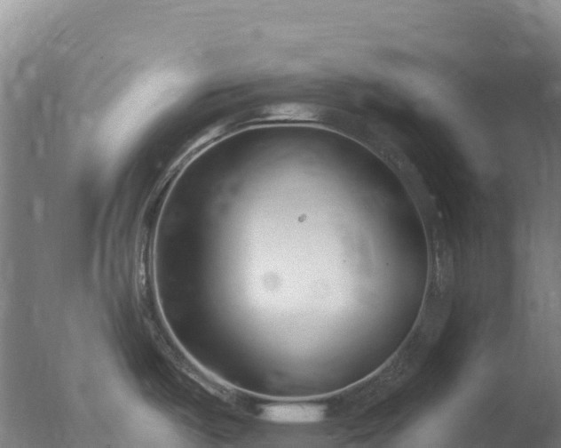 X0000077371487200610271907