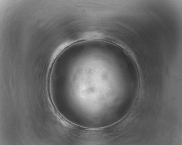 X0000077371488200610271907