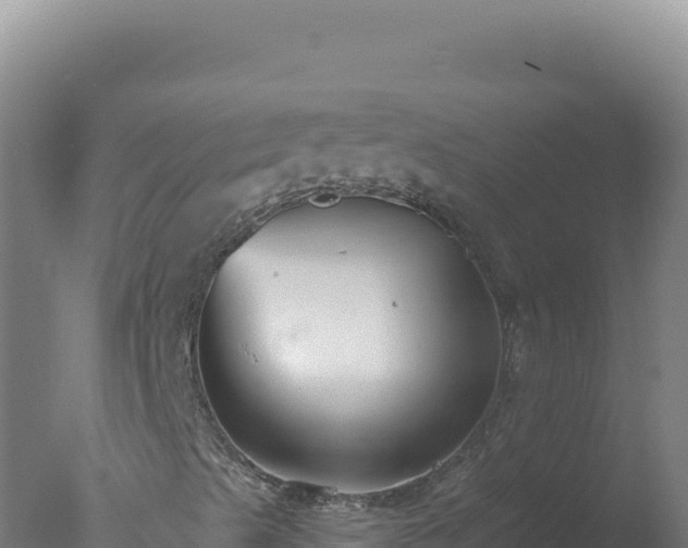 X0000077371489200610271906