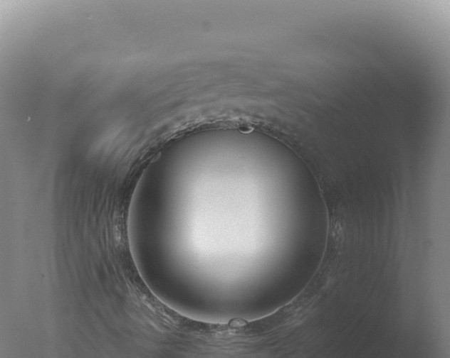 X0000077371490200610271906