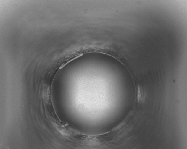 X0000077371492200610271906