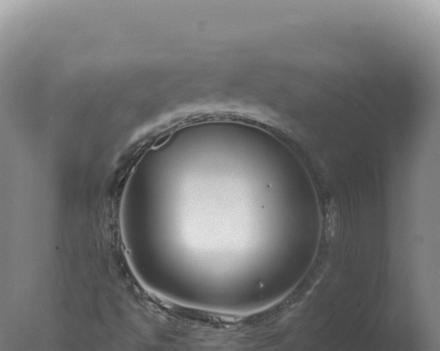 X0000077371494200610271906