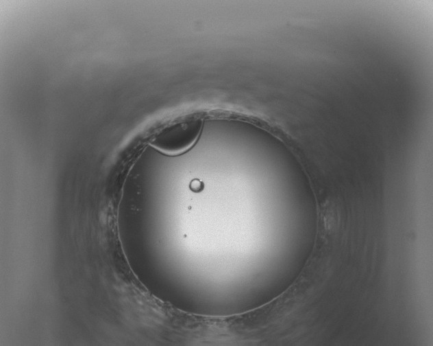 X0000077371495200610271906