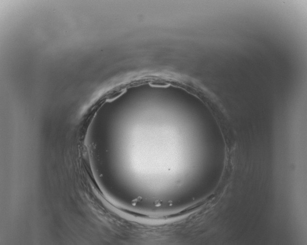 X0000077371496200610271906