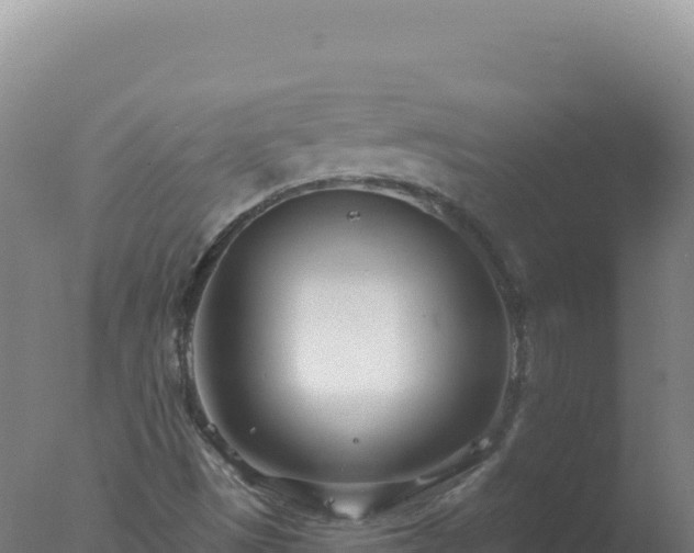 X0000077371497200610271906