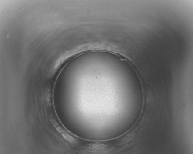 X0000077371499200610271906