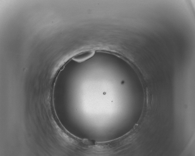 X0000077371500200610271906