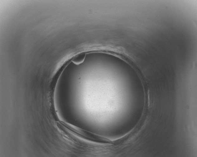 X0000077371501200610271906