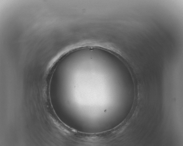 X0000077371502200610271906