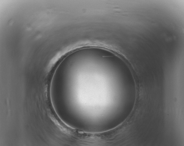 X0000077371503200610271906